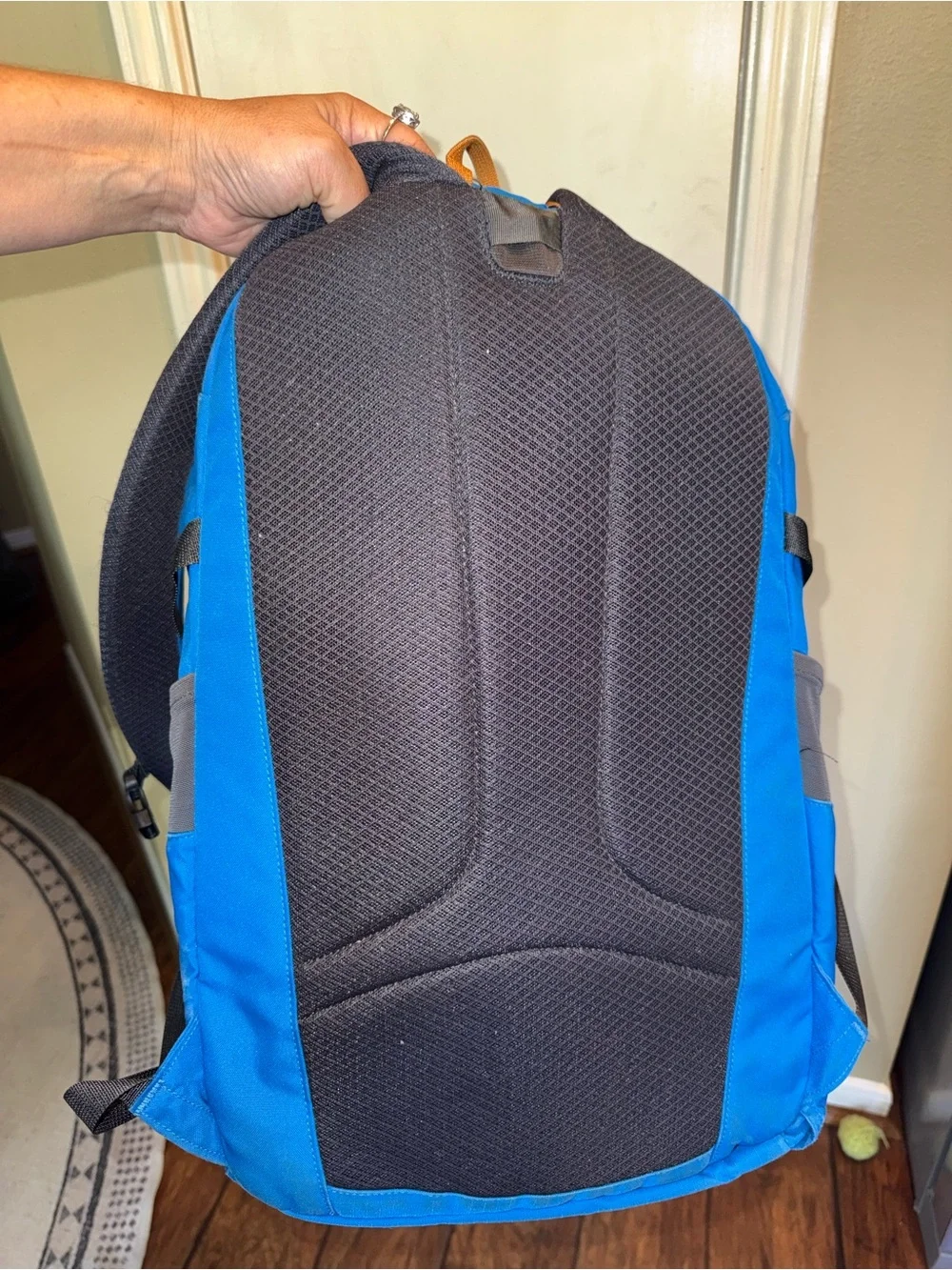 Patagonia Backpack